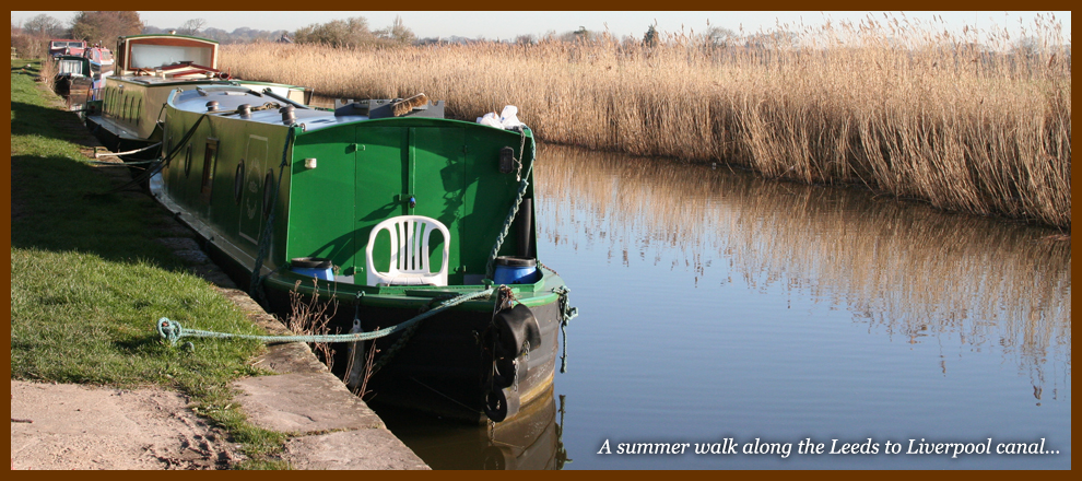 Halsall Navvy Image